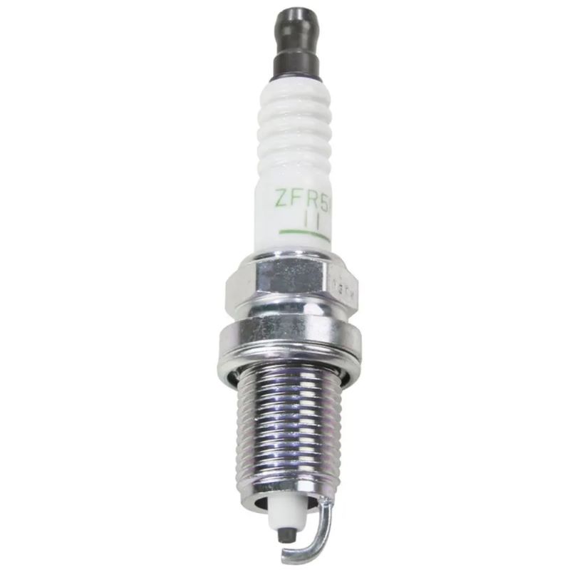 ZFR5F11