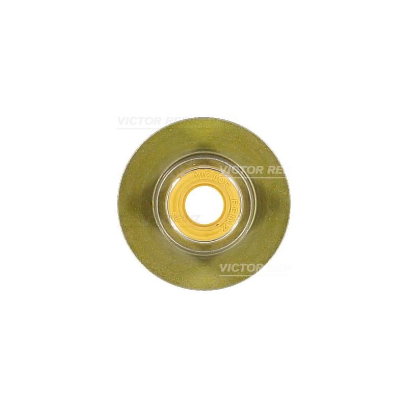 JOGO-DE-RETENTORES-DA-HASTE-DE-VALVULA-VICTOR-REINZ-70-40336-00