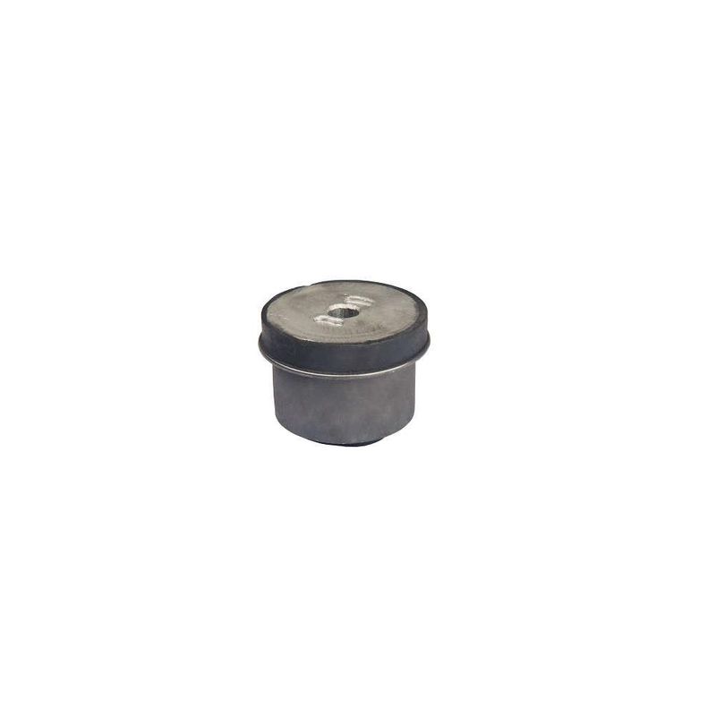 BUCHA-DO-EIXO-DA-SUSPENSAO-TRASEIRO-PERFECT-BCH0305